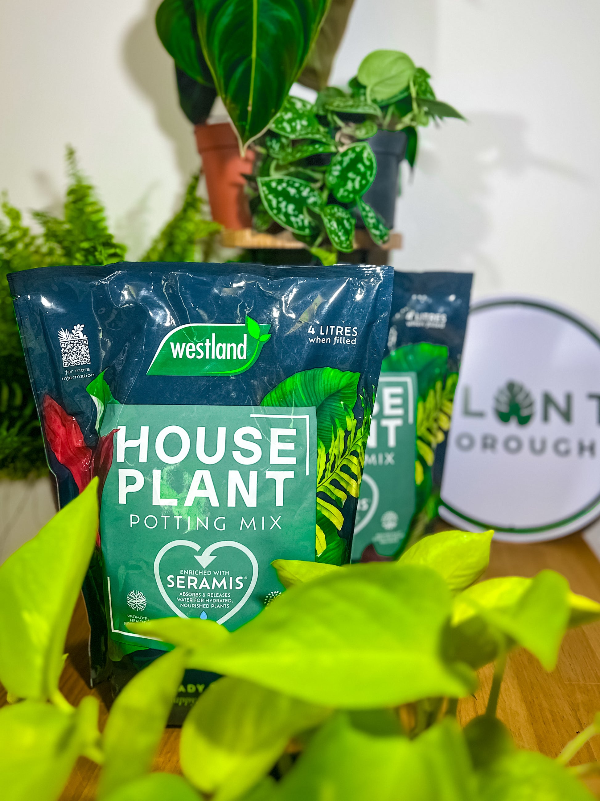 4L House Plant Potting Mix